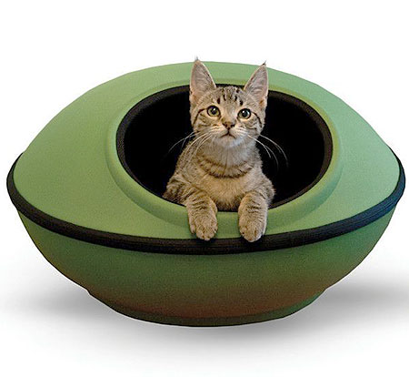 catbed